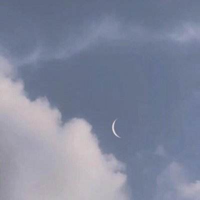 合金幻想bt放开版下载